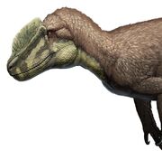 Sinotyrannus-pic001