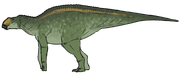 Secernosaurus koerneri