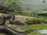 Titanoboa
