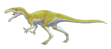 Noasaurus001