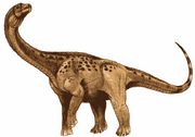 Antarctosaurus wichmannianus1