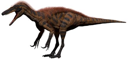 Australovenator Model