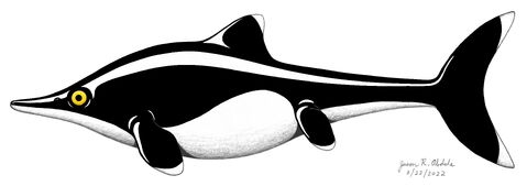 Arthropterygius