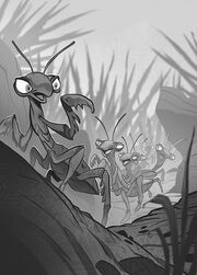 Mantis-bbugs11