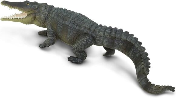 Saltwatercrocmodel1