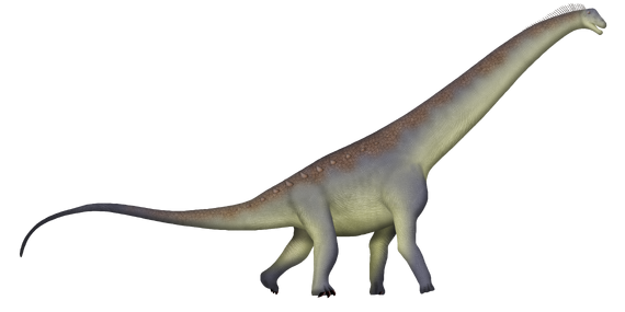 Alamosaurus UDL