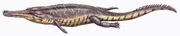 Machimosaurus buffetDB11 (cropped)