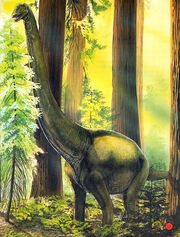 Brachiosaurusinwoods1