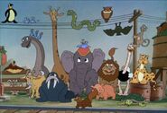 64 zoo lane