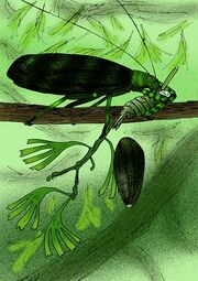Gigatitan vulgaris