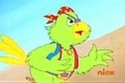 Pirate Parrot-3