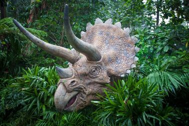 Bigthreehorns-dinoparkchimelong1