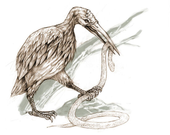 Jurassic june 4 kong 2005 expanded dinoapteryx by slade824 dfywjsw-fullview