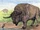Bison latifrons