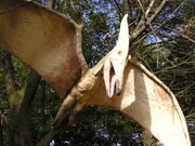 Pterosaur-Dinosaur-City-044