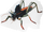 Firebellied Tree-talon