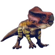 Microceratus JWD Render (Fixed)