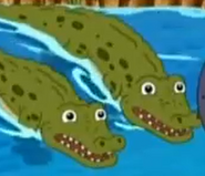 SALTWATER CROCODILE RESCUE