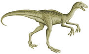 Kakuru
