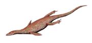 Lariosaurus BW