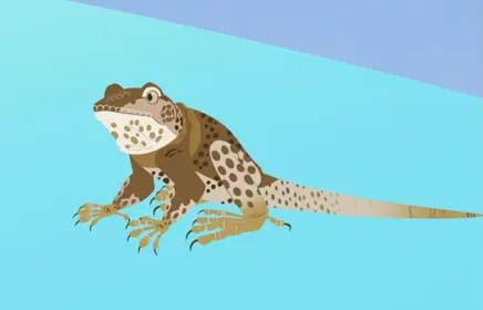 Leopard lizard power-wild kratts | New ideas by Matt Weaver Wiki | Fandom