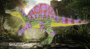 Venatospinus-newkongseries1
