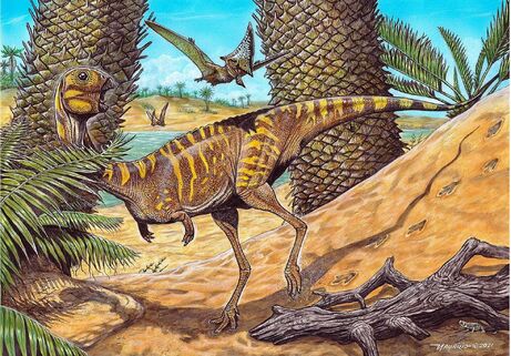 Life reconstruction of Berthasaura leopoldinae gen. et sp. nov. in the paleoenvironment represented by the “Cemitério dos Pterossauros” Quarry