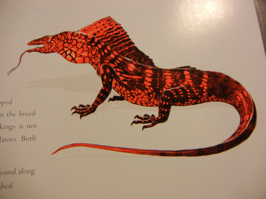 Dragonskin lizard-kk1
