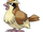Pidgey