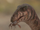 Abelisaur-the most extreme dinosaur 1