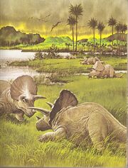 Triceratops-vin1