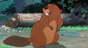 BeaverFull (1)