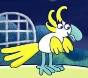 Carriecockatoo1