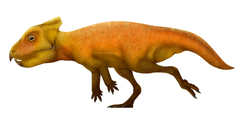 Breviceratops Restoration
