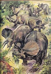 Triceratopsherd1