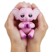 ASIAELEPHANTFINGERLING1111
