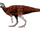 Albertadromeus