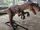 Allosaurus-Dinosaurs Science Place revival