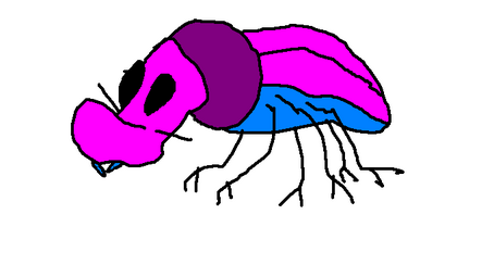 Beetle01-LBT