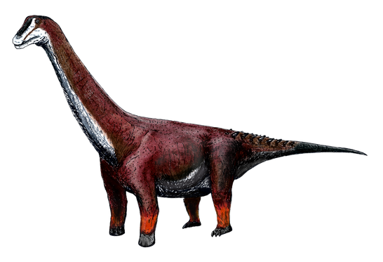 Baotianmansaurus LMR