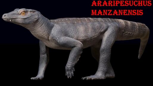 Araripesuchus manzanensis0001