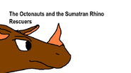 RHINO