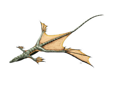 Aerosaur-monsterisleexpand1