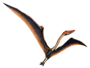 JPI Quetzalcoatlus
