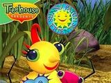 Miss Spider's Sunny Patch Friends