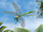 Boneheads-detectives of the Paleoworld: One big bug, man!