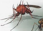 Mosquito-sired1