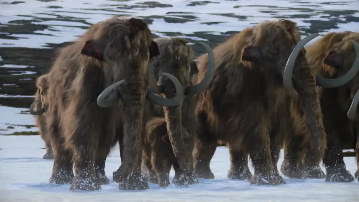 MAMMOTHS = Ultimate Book of Spells REBOOT New ideas by Matt Weaver