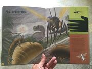 Palaeobugs-protoparevania1