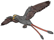 Changchengornis 550 CER
